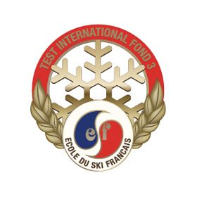 French ski School (ESF) medal, France Stock Photo - Alamy